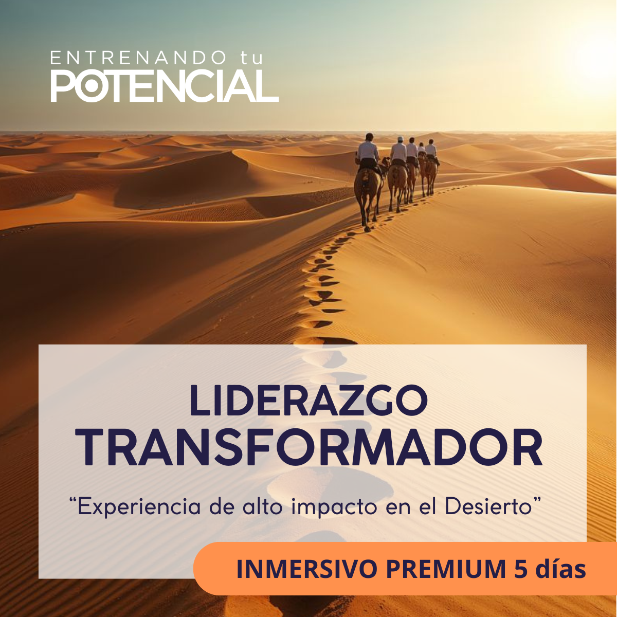 LIDERAZGO TRANSFORMADOR